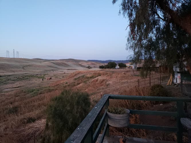 Pet boarding service Lone Tree Ranch Tracy