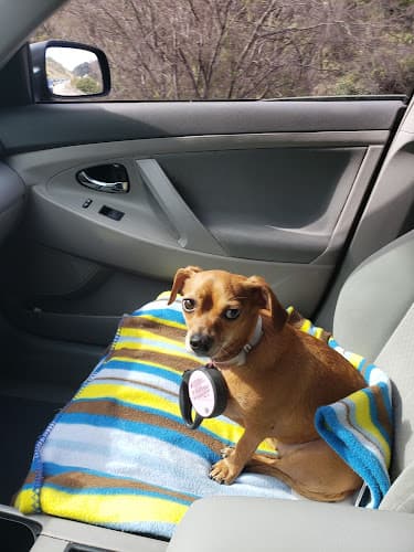 Pet boarding service Los Angeles County Animal Care and Control - By appointment only Los Angeles