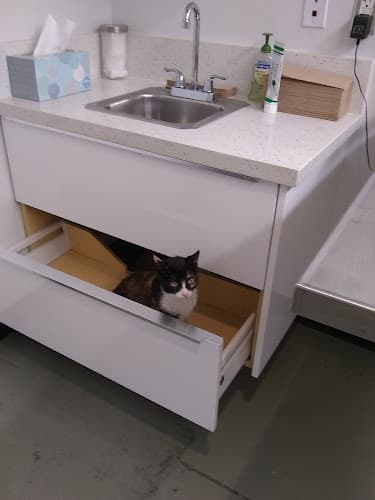 Pet boarding service Los Angeles Veterinary Center Los Angeles