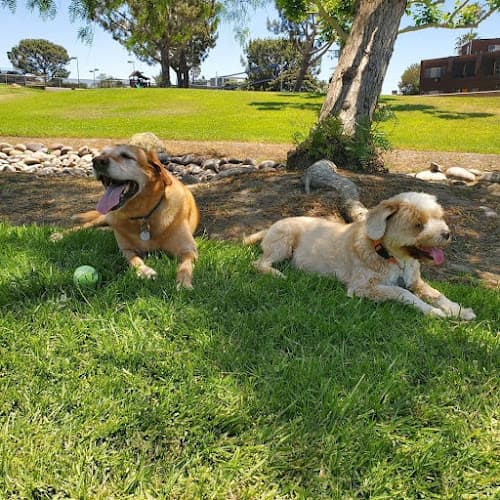 Pet boarding service Love Of Animals Pet Services- San Diego San Diego