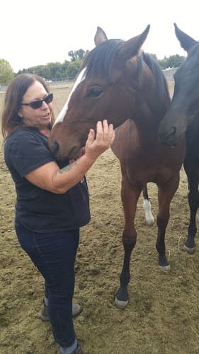 Pet boarding service LUCKY ACRES Yakima