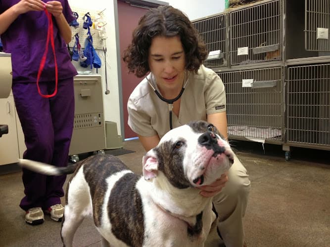 Pet boarding service Madera Veterinary Center Fresno