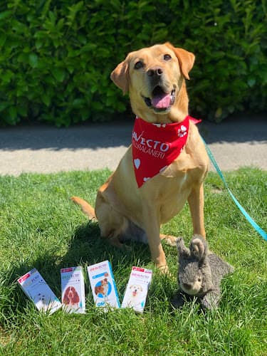 Pet boarding service Madison Park Veterinary Hospital Seattle