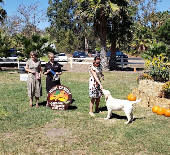 Pet boarding service Markim Pet Resort San Diego