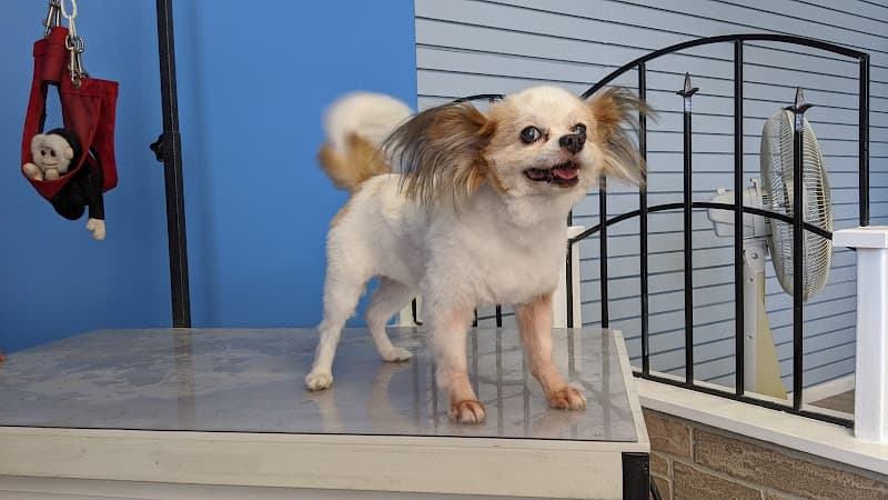 Pet boarding service Mary's Pet Salon Thousand Oaks