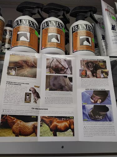 Pet boarding service Mely's Granero Pet Shop Feed&Supply Rialto