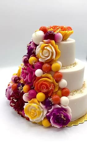 Pet boarding service MISHKA Dog Boutique San Leandro