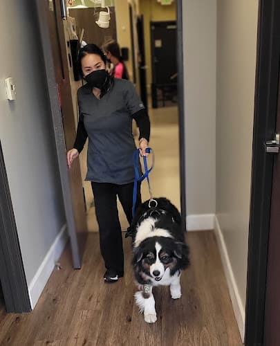 Pet boarding service Mission Animal Hospital Ventura