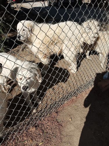 Pet boarding service Moreno Ranch Supply Moreno Valley