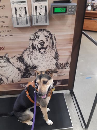 Pet boarding service Mud Bay Federal Way