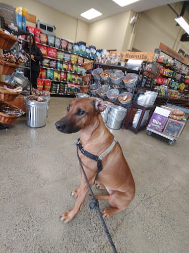 Pet boarding service Mud Bay Seattle