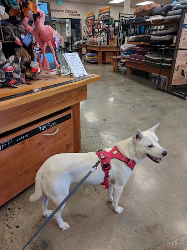 Pet boarding service Mud Bay Seattle