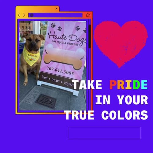 Pet boarding service Mugsy’s Pet Supply & Barkery Vallejo