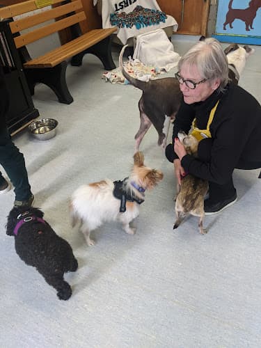 Pet boarding service Muttville San Francisco