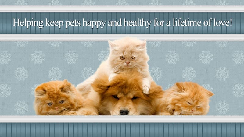 Pet boarding service North End Pet Hospital Tacoma