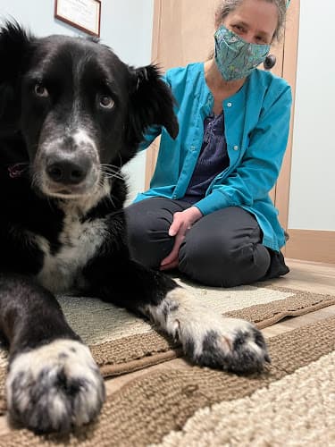 Pet boarding service NW Holistic Pet Care Bellingham