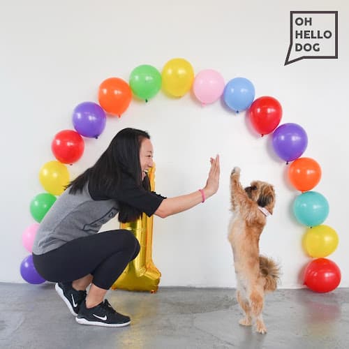 Pet boarding service Oh Hello Dog: DTLA Dog Daycare & Boarding Los Angeles