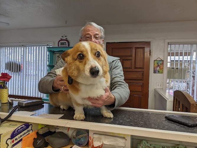 Pet boarding service Oh my dog Salem