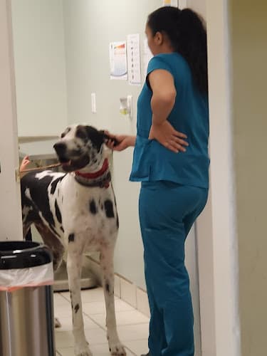 Pet boarding service Ohana Veterinary Clinic Torrance