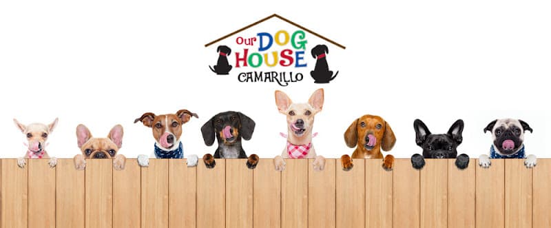 Pet boarding service Our Dog House Camarillo Oxnard