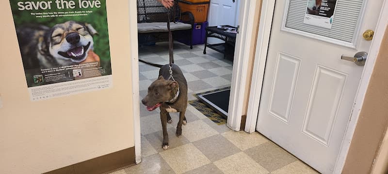 Pet boarding service Pacific Veterinary Hospital Stockton