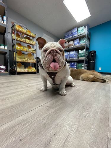 Pet boarding service Paw's Up - Holistic Diet Santa Ana