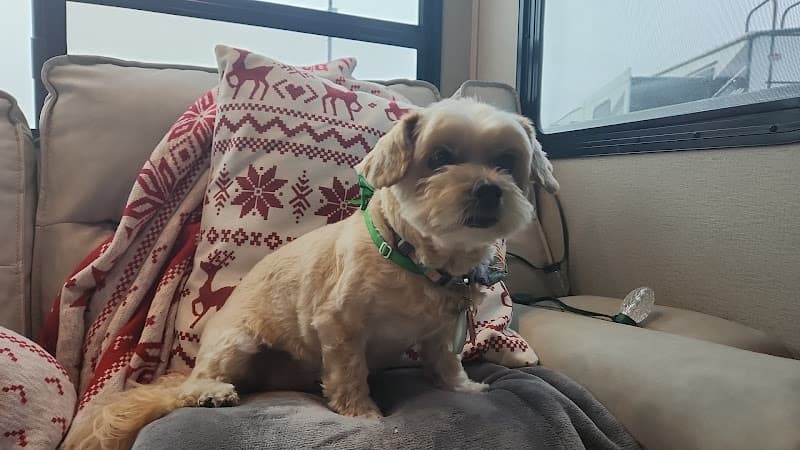 Pet boarding service Pawz R Us Chula Vista