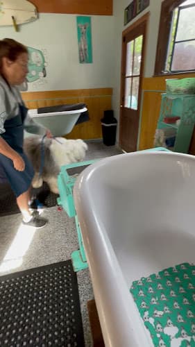 Pet boarding service Penny's Pup Wash Costa Mesa