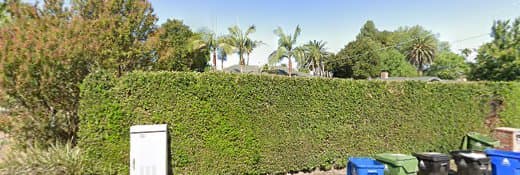 Pet boarding service Pet and Home Care Los Angeles