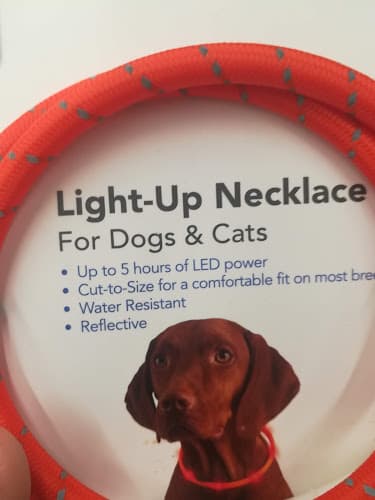 Pet boarding service Pet Club Cupertino Sunnyvale