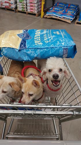 Pet boarding service Pet Club Hayward Hayward
