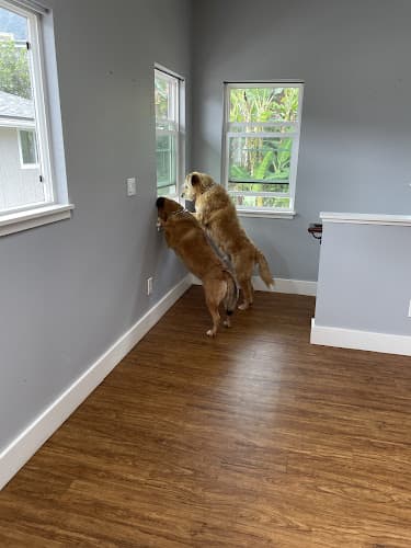 Pet boarding service Pet Express Inglewood