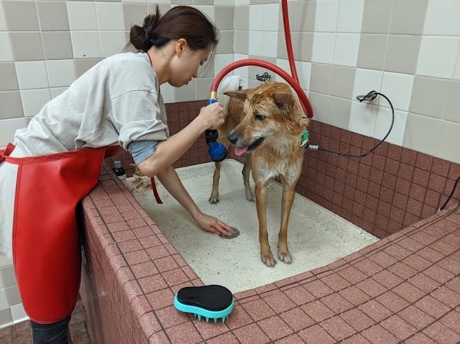 Pet boarding service Pet Food Express Concord