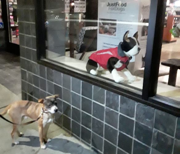 Pet boarding service Pet Food Express Oakland