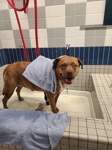 Pet boarding service Pet Food Express Sacramento