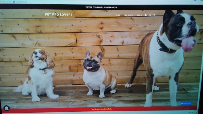 Pet boarding service pet pro merchand Escondido