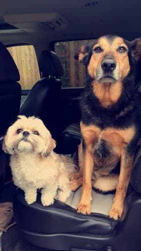 Pet boarding service Pet Salon of Bend Bend