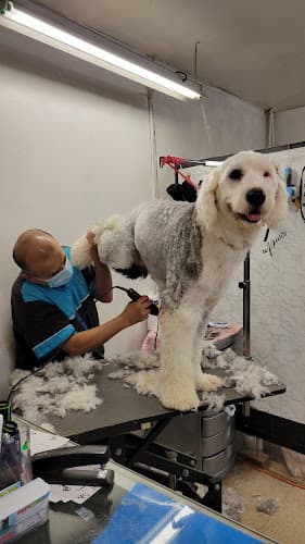 Pet boarding service Pet World Anaheim