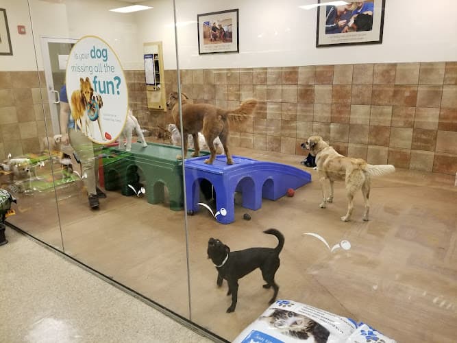 Pet boarding service PetSmart San Jose
