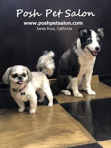 Pet boarding service Posh Pet Salon Santa Rosa