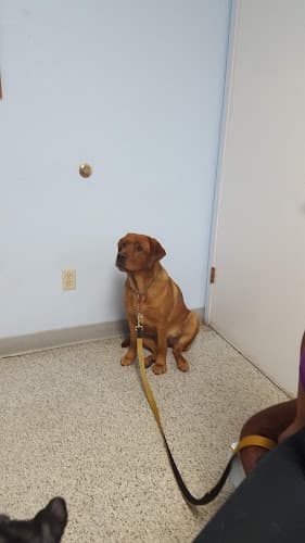 Pet boarding service Princeton Veterinary Clinic San Jose