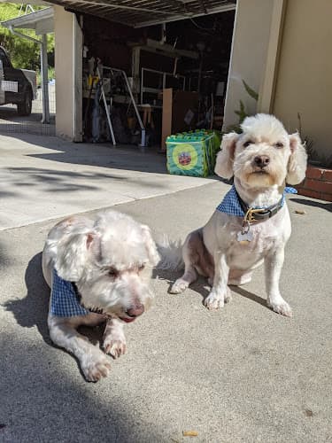 Pet boarding service Puppy Love Pet Spa Glendale