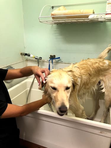 Pet boarding service Rancho Bernardo Pet Hospital San Diego