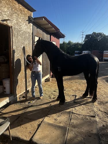 Pet boarding service Rancho Del Amo Carson