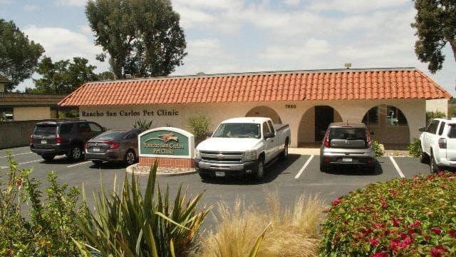 Pet boarding service Rancho San Carlos Pet Clinic San Diego