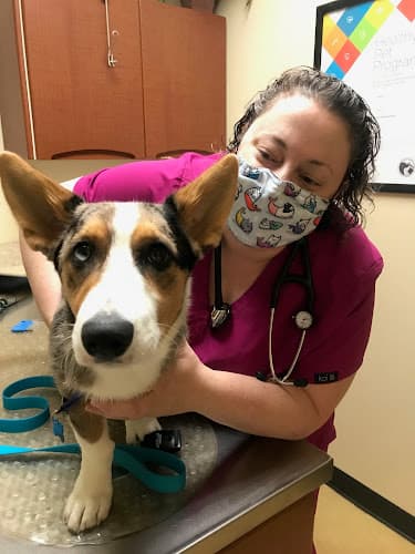 Pet boarding service Redmond-Kirkland Animal Hospital, A Thrive Pet Healthcare Partner Kirkland