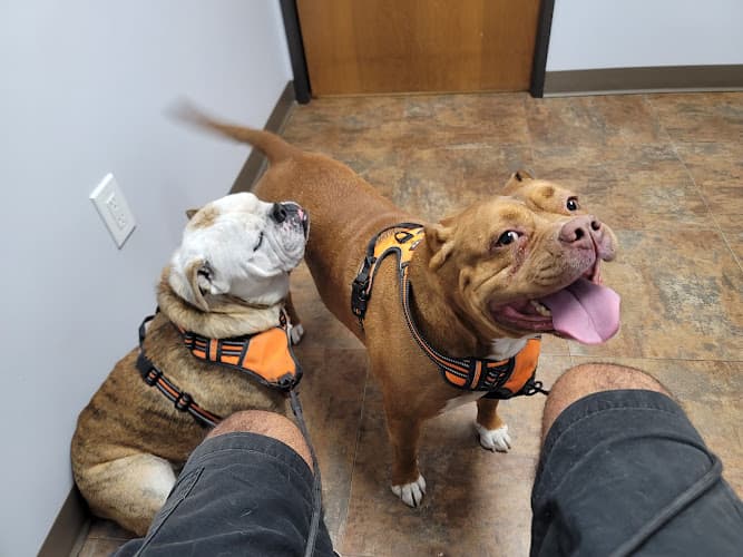 Pet boarding service Redwood Animal Hospital Torrance