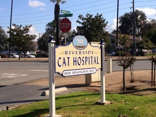 Pet boarding service Riverside Cat Hospital Riverside