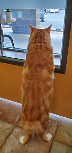 Pet boarding service Riverview Animal Hospital Vancouver