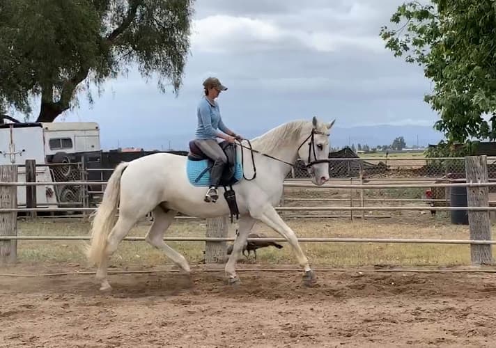 Pet boarding service Rocking R Ranch Oxnard